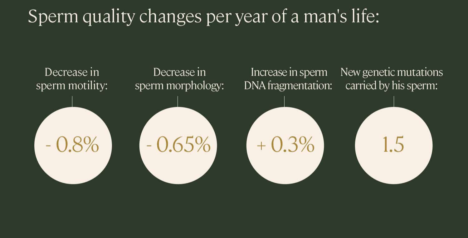 Diets for sperm quality in men